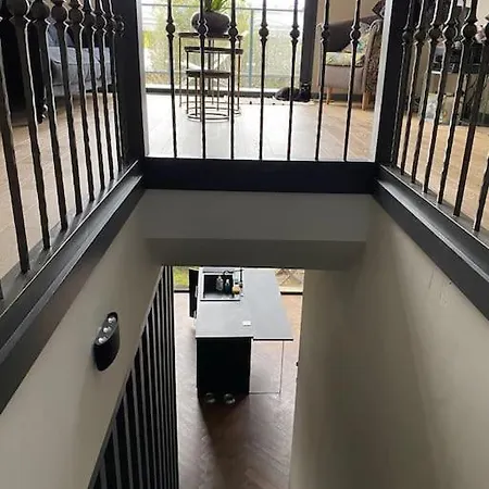 Echoppe Renovee Avec Jardin Bordeaux